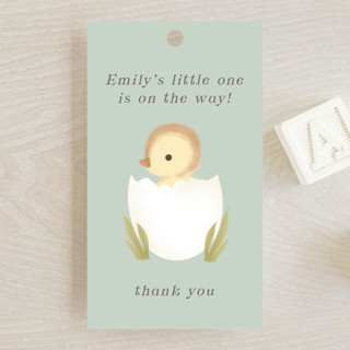 Lil Duck Baby Shower Favor Tags