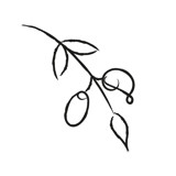 Custom Icon & Monogram Line Drawing Commissioned Design Element