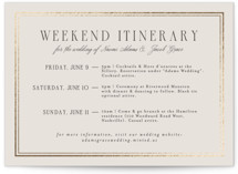 Grace Foil-Pressed Petite Wedding Weekend Itinerary Cards
