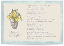 Amalfi Coast Wedding Wedding Weekend Itinerary Cards