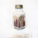 Earth Tones Noble Fir Match Jar Matchbooks and Matches