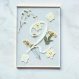 Gold-Lined Pressed Flower Table Number, White Table Numbers