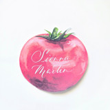 Watercolor Tomato Place Cards-Personalized Set of 10 Place and Escort Cards