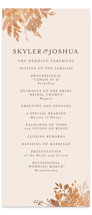 Wedding in Aspen