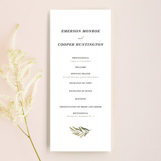 Olive Branch Wedding Programs
